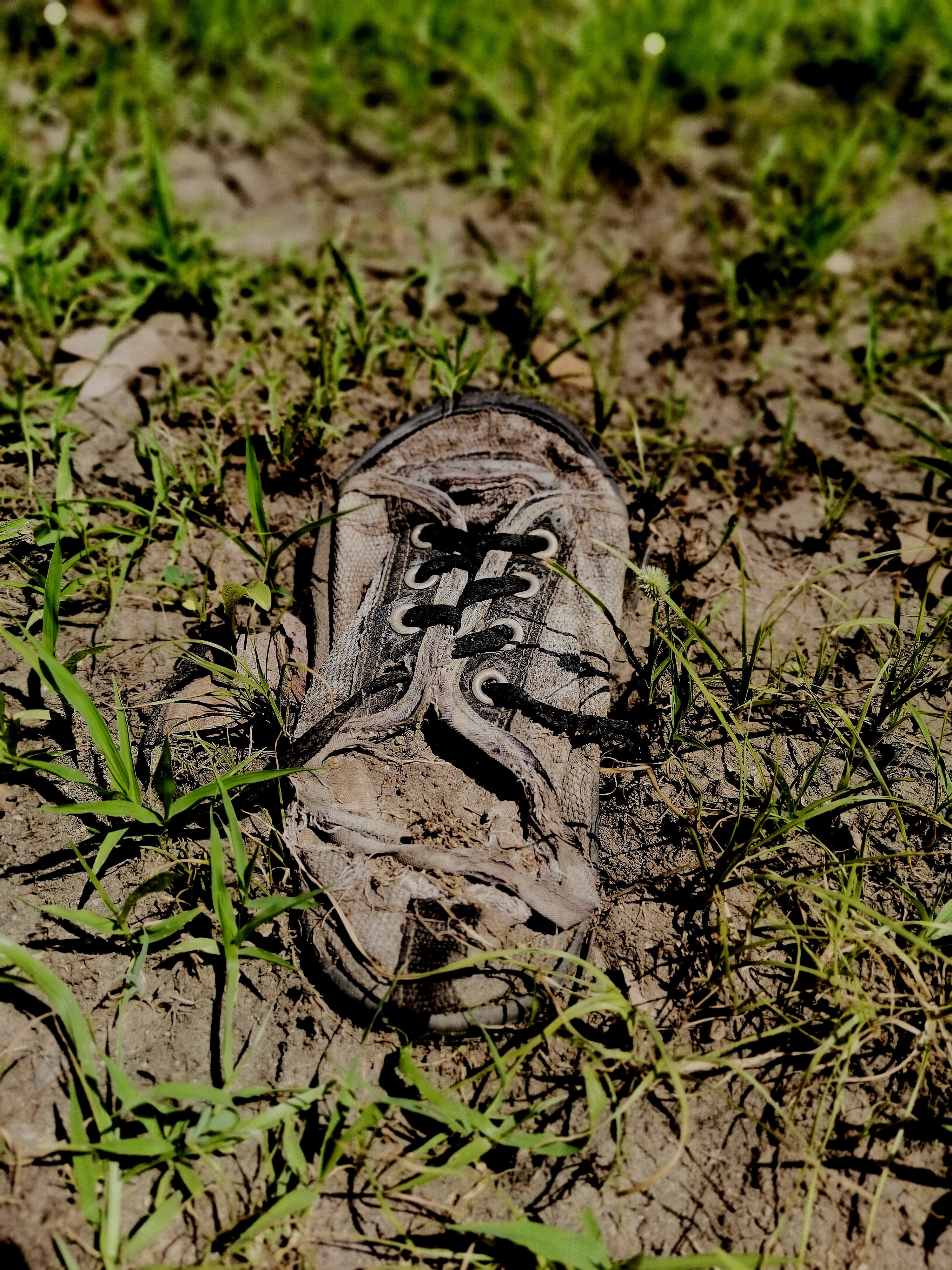 The Shoe - A photograph of a shoe